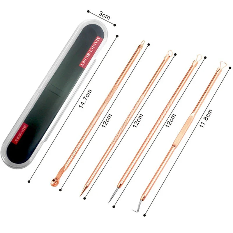 4Pcs Blackhead Removal Needles Black Dots Cleaner Stainless Steel Spot Extractor Acne Treatment Needle Face Clean Care Tool