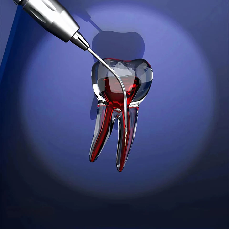 Dental Endo Broken File Removal Instrument Set Endodontic Endo File Removal System Kit  Root Canal File Extractor For Clinic