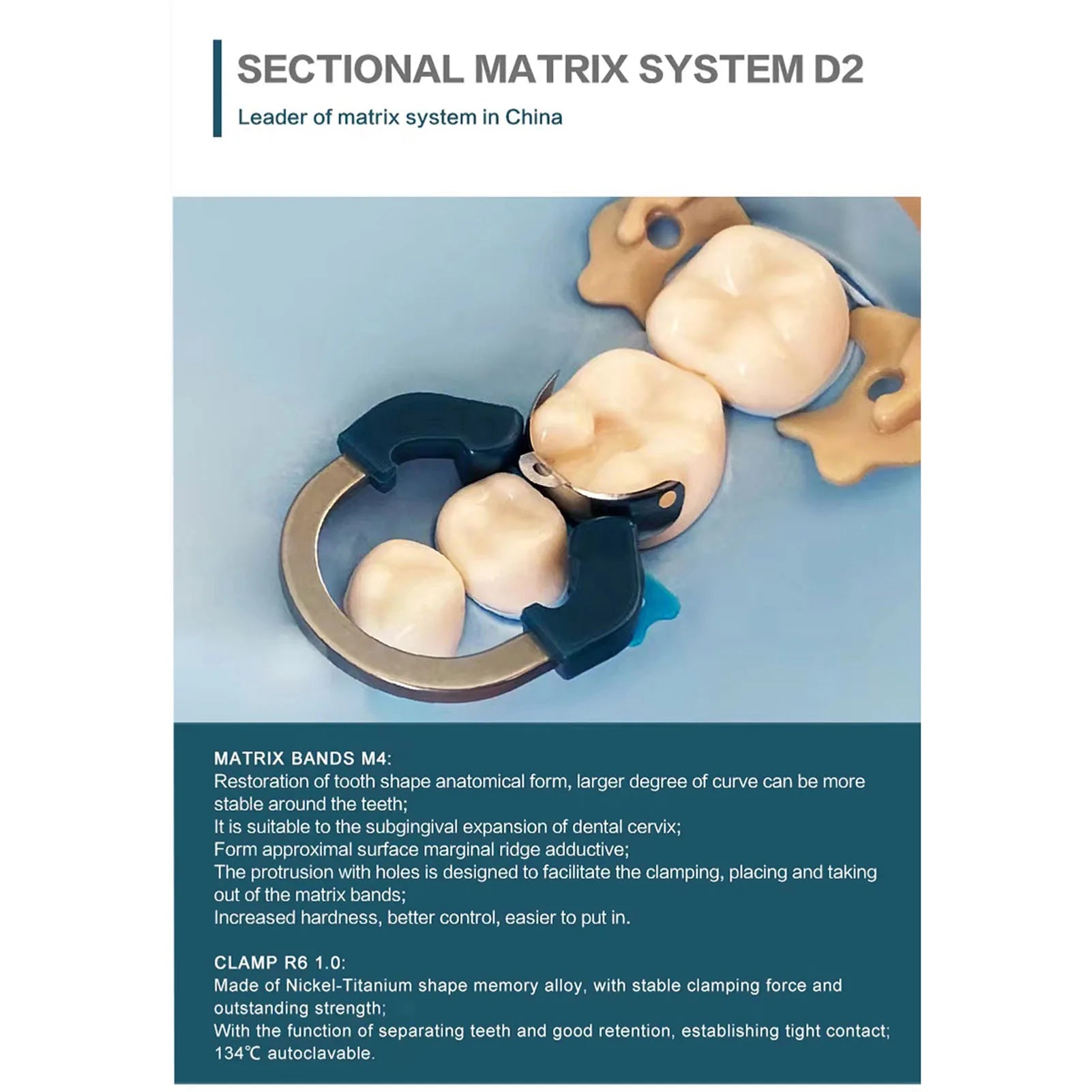 Dental Matrix Bands NITI Metal Matrices Clamp Ring Sectional Contoured Matrix System Nickel Titanium Clamping Ring Dentist Tools