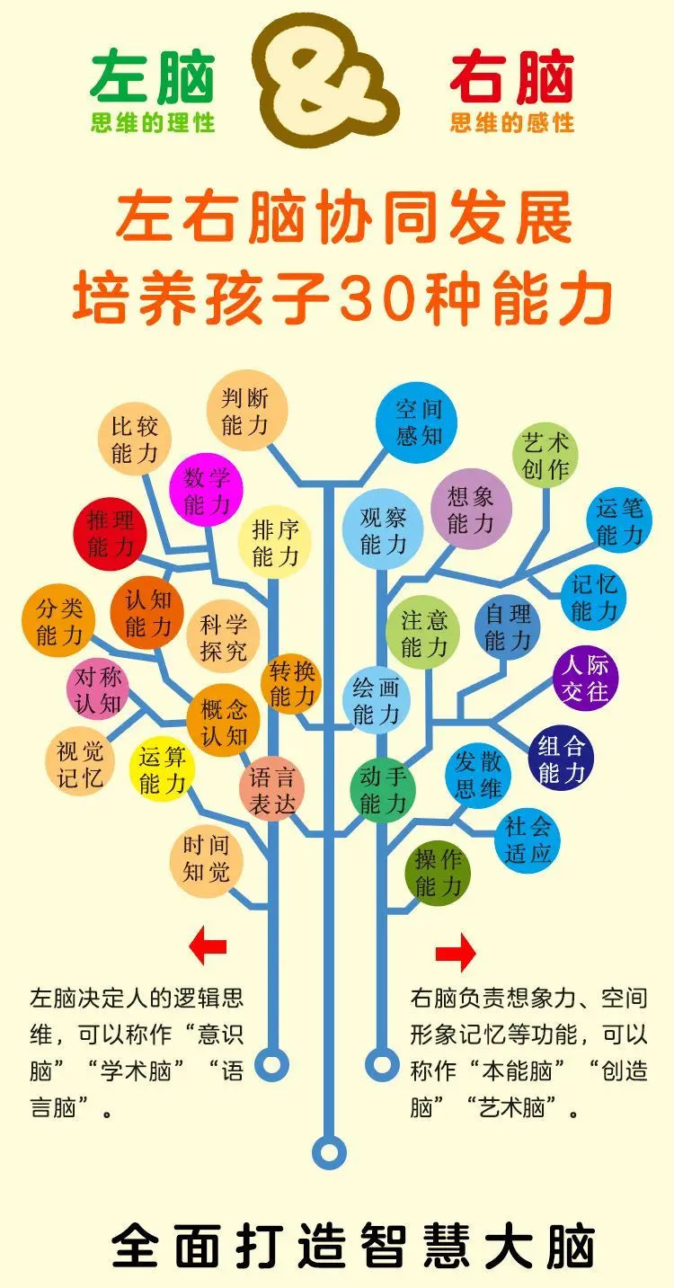 Children's Brain Development Concentration Training Early Education Book Kids 2-6 Years Old Study Book