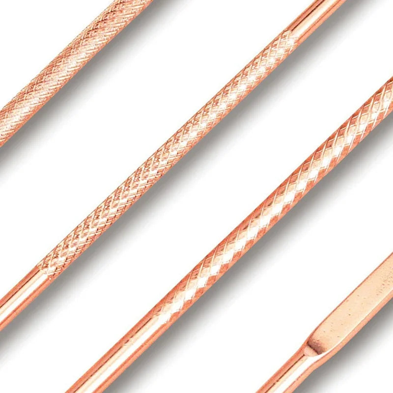 4Pcs Blackhead Removal Needles Black Dots Cleaner Stainless Steel Spot Extractor Acne Treatment Needle Face Clean Care Tool