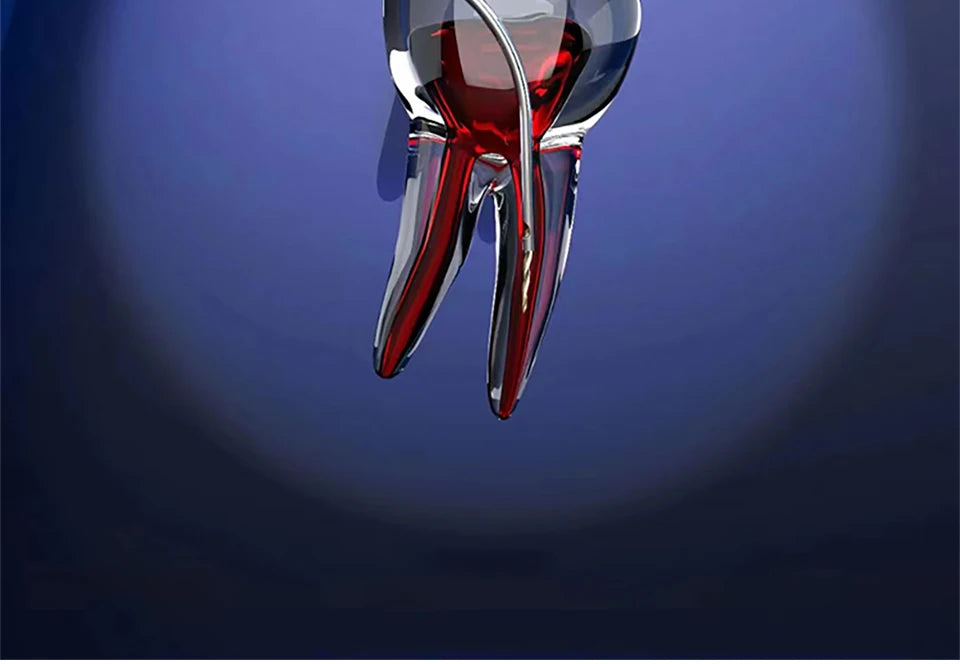 Dental Endodontic Endo File Removal System Kit / Endo Broken File Removal Instrument Set Root Canal File Extractor For Clinic